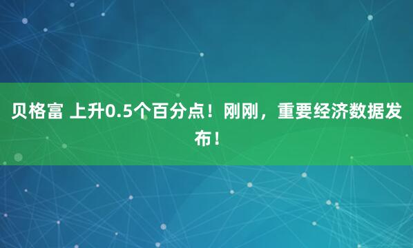 贝格富 上升0.5个百分点！刚刚，重要经济数据发布！