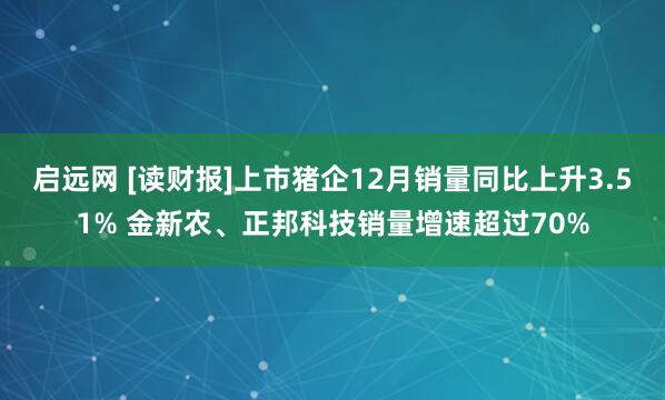 启远网 [读财报]上市猪企12月销量同比上升3.51% 金新农、正邦科技销量增速超过70%